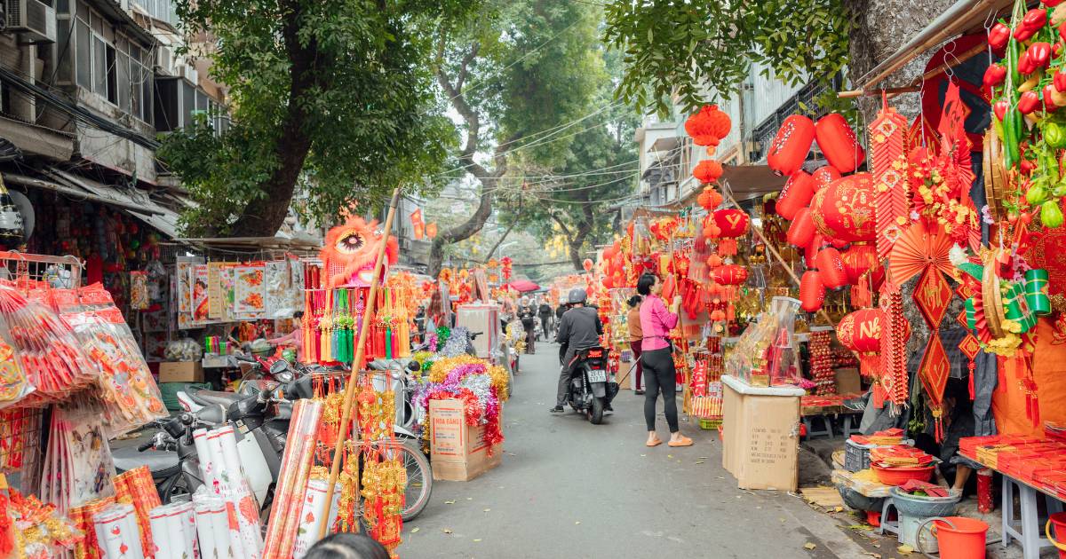 年花2025｜6大必買應節年花種類、寓意、照顧方法、購買地點