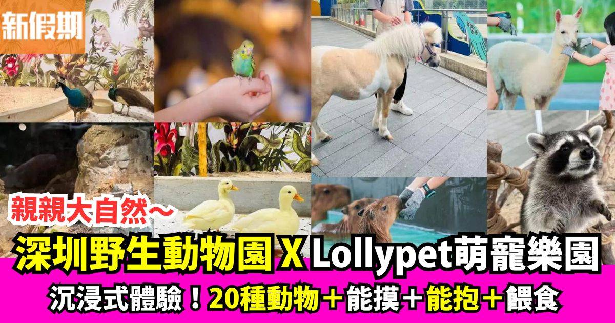 $79深圳野生動物園 X Lollypet萌寵樂園全日玩門票！附預訂連結
