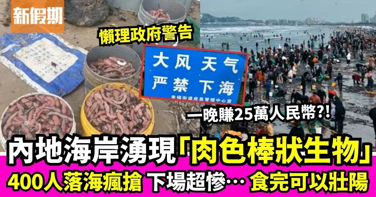 內地海岸驚現大量「肉色棒狀生物」引400人落海打撈