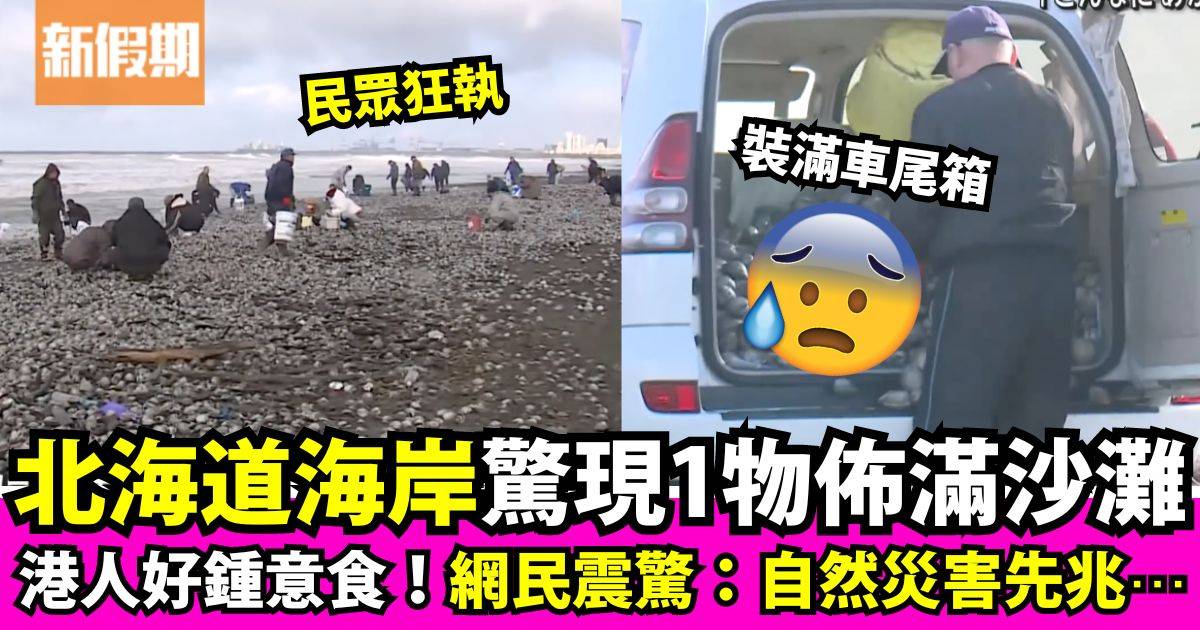 北海道海岸驚現1物滿地奇景 民眾趕海邊瘋搶 網民驚：自然災害預兆