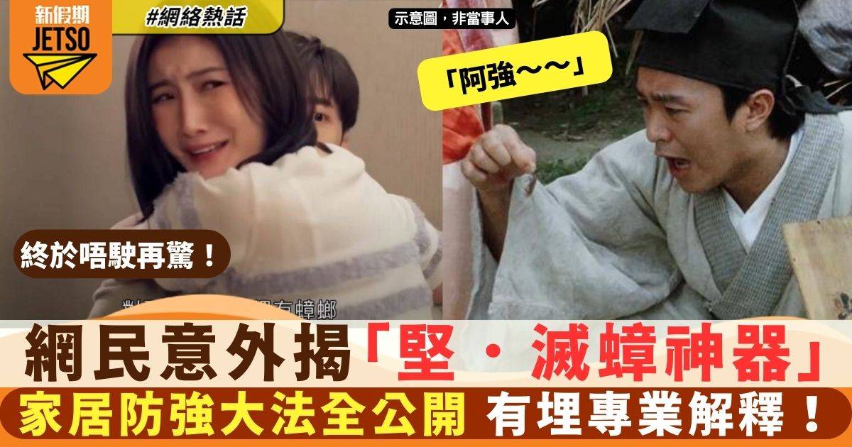 台灣網民分享家居「滅蟑大法」新招曝光完全係再見小強神器