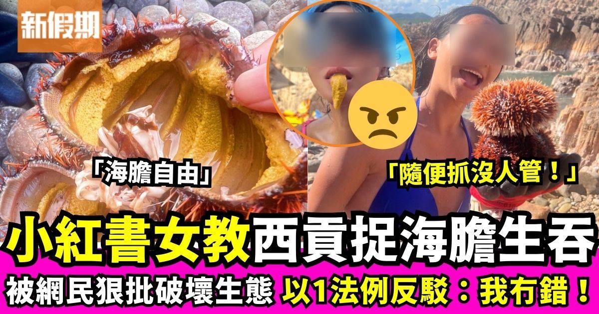 小紅書女教路西貢活捉海膽生吞　被網民狠批破壞生態以法例反駁！