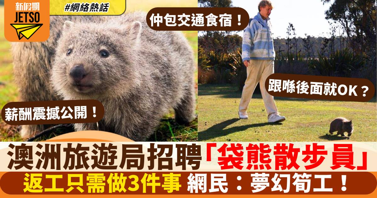 澳洲旅遊局請「袋熊散步員」返工只做3件事 薪酬震撼公開
