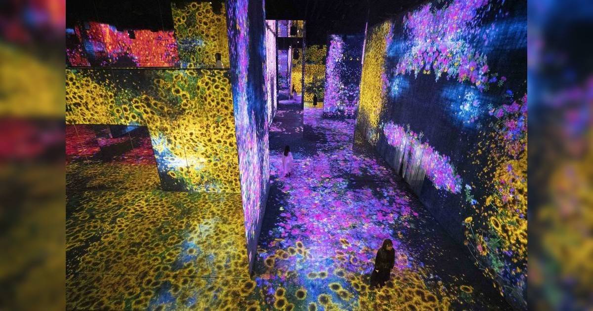 澳門teamLab 2024超自然空間｜$188起：附門票優惠＋打卡位攻略