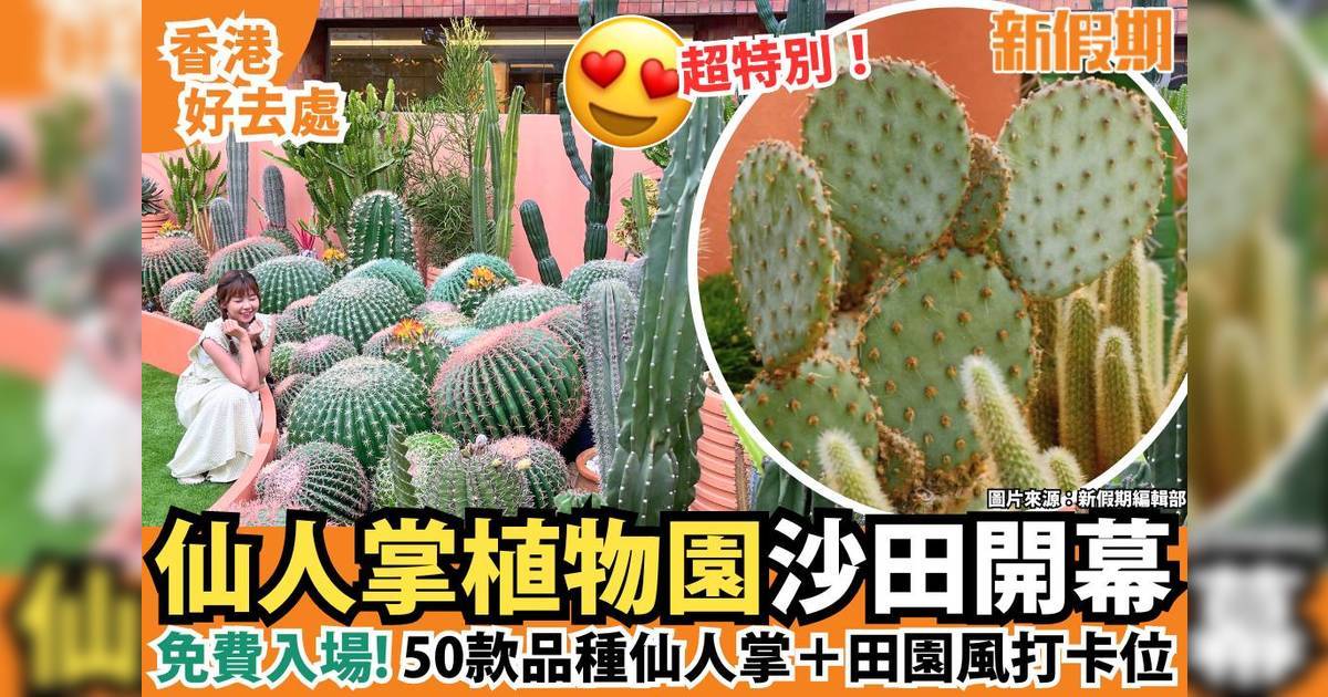 仙人掌植物園沙田開幕！免費睇50款品種仙人掌＋田園風打卡位