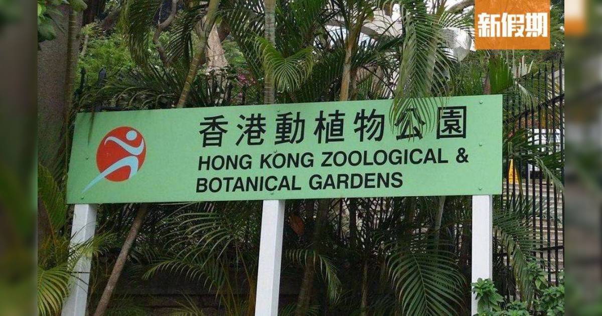 香港動植物公園｜8隻猴子同日離奇死亡 康民處進行解剖化驗