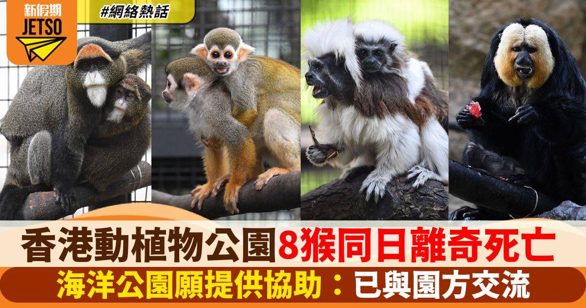 香港動植物公園8隻猴子同日離奇死亡  海洋公園指如需要可提供協助