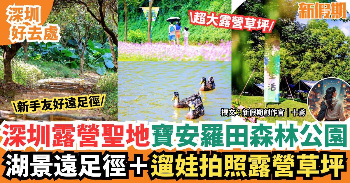 深圳寶安羅田森林公園｜週末露營遠足好去處＋遛娃拍照聖地