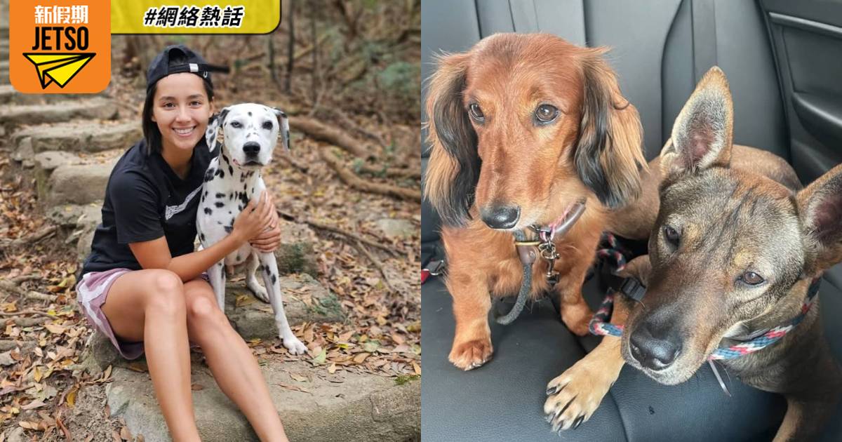 前港姐冠軍謝嘉怡2愛犬誤食毒肉亡 發文痛斥：經過精心策劃，連人都會冇命