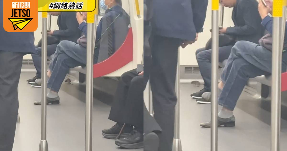 港鐵有「米奇」出沒?! 老鼠在車廂狂奔 嚇驚女乘客大叫：黐線㗎！