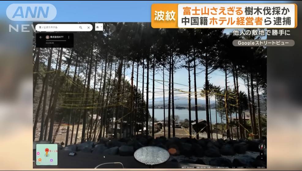 日本 非法砍樹 (圖片來源:YouTube@ANNnewsCH)