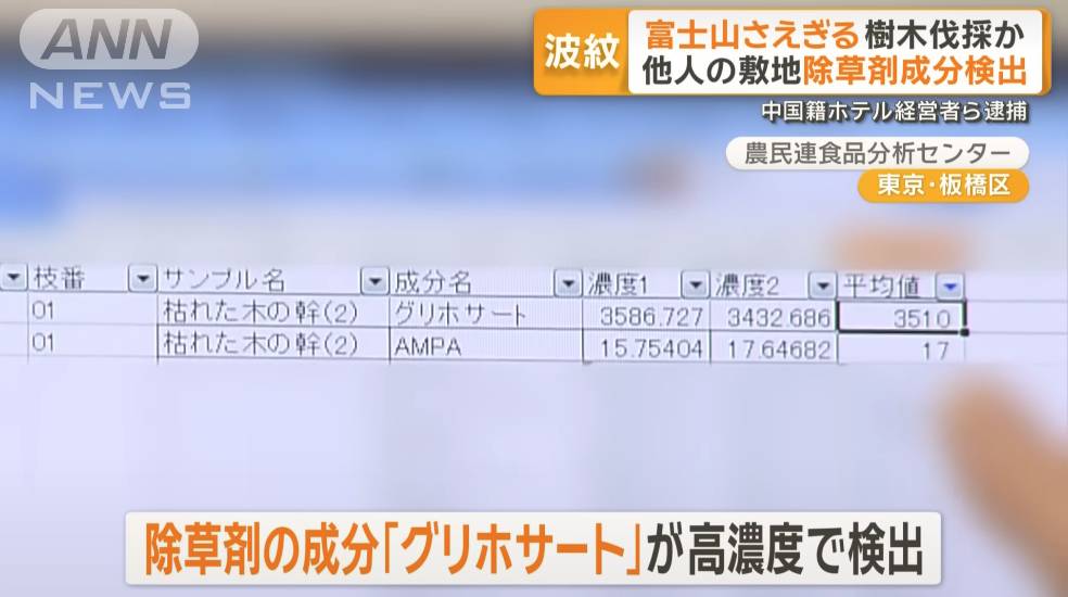 日本 非法砍樹 結果顯示證實當中含有高濃度的除草劇劑「草甘膦」。(圖片來源:YouTube@ANNnewsCH)