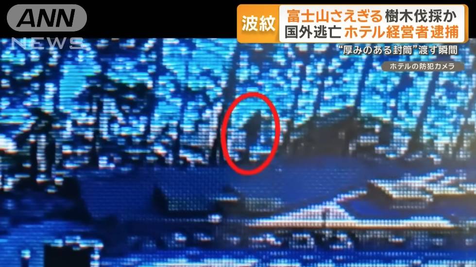 日本 非法砍樹 護理所的閉路電視拍到有幾名男子進入草地範圍,並把斬下的樹枝帶到旅館範圍。(圖片來源:YouTube@ANNnewsCH)