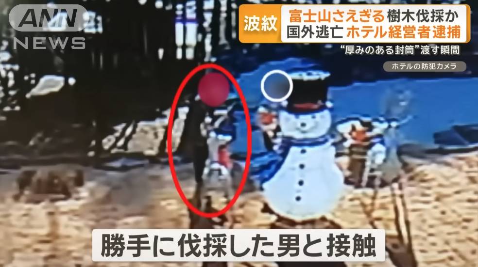 日本 非法砍樹 (圖片來源:YouTube@ANNnewsCH)