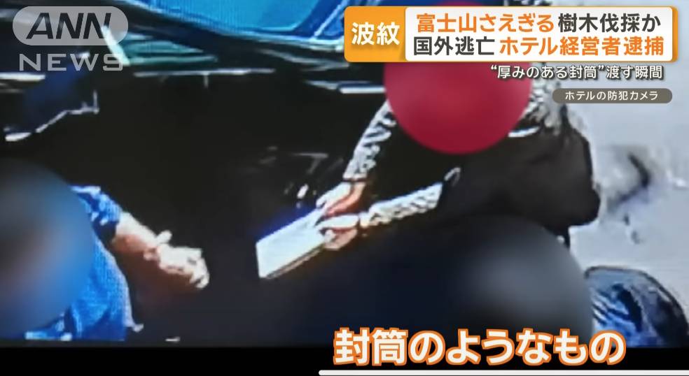 日本 非法砍樹 另有職員透露曾見到有人疑似給予報酬負責斬樹的不知名人士。(圖片來源:YouTube@ANNnewsCH)