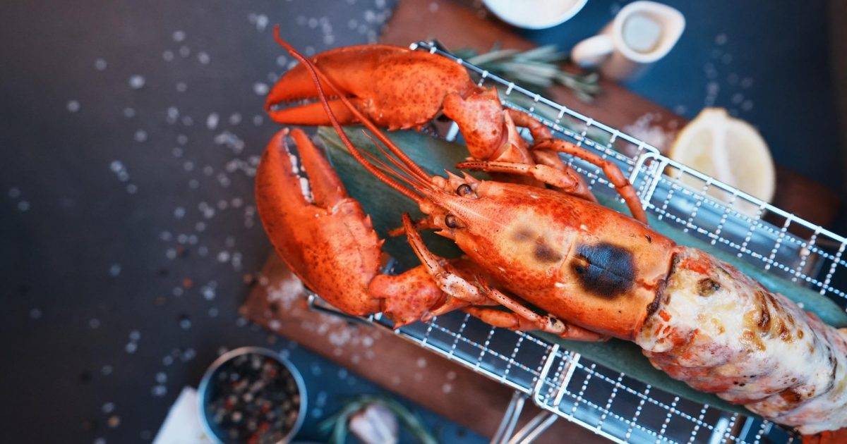 CAMPSITE (朗豪坊) – 旺角餐廳 滙豐銀行 HSBC信用卡最新飲食優惠 必食營火朱古力棉花糖夾餅