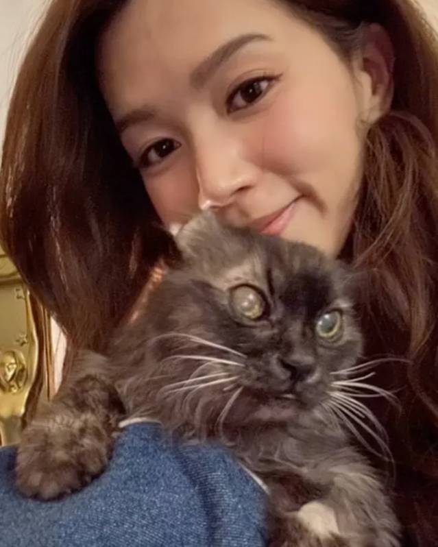 傅嘉莉 23歲愛貓「BeBe」不幸於2025年5月17日晚上8時45分離世(圖片來源:傅嘉莉IG)