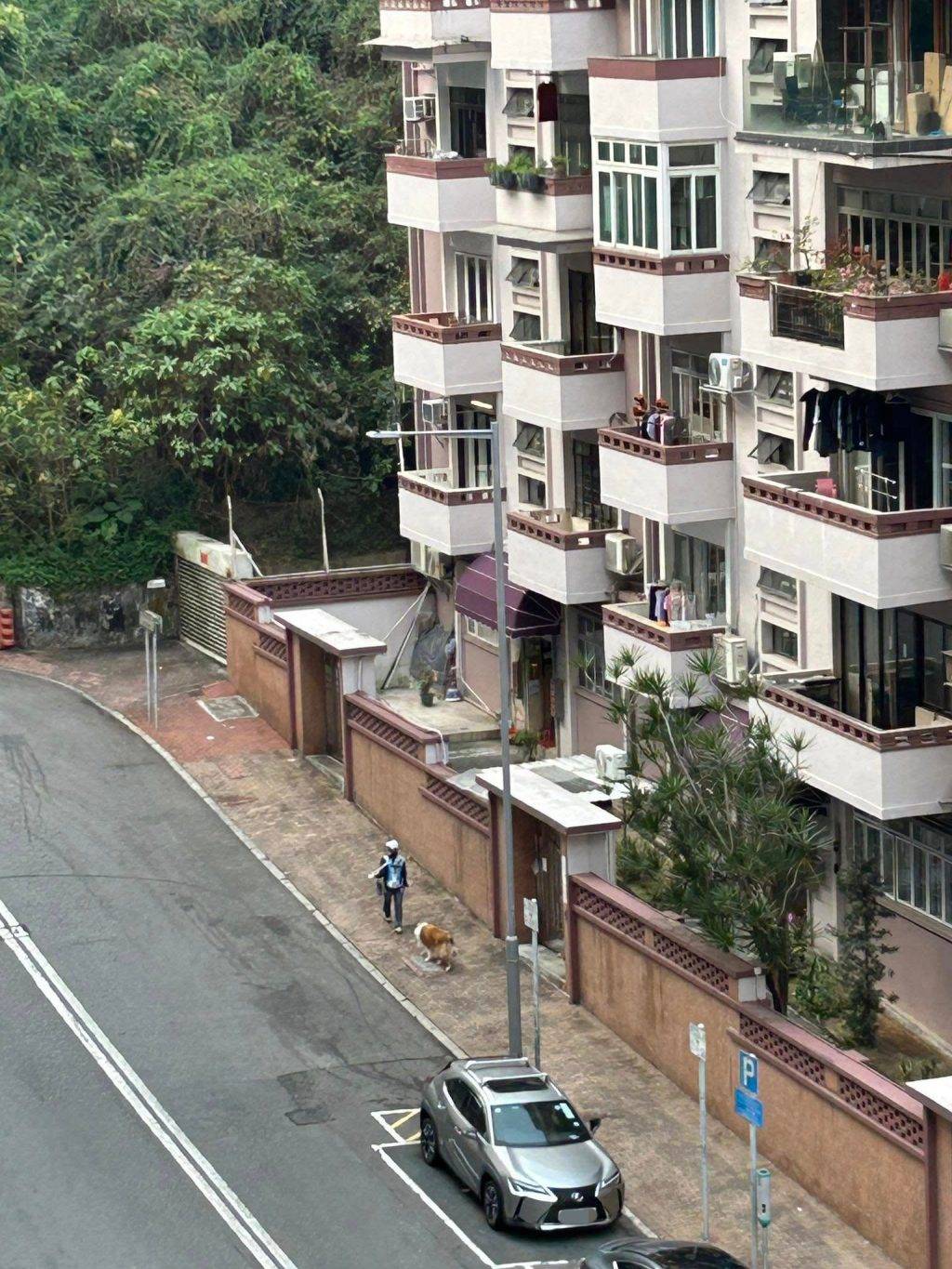 狗 上個月有網民在Facebook群組「何文田街坊」發文大呻,不滿部分狗主放狗時,只用少量清水清洗狗隻尿液。(圖片來源:FB@何文田街坊)
