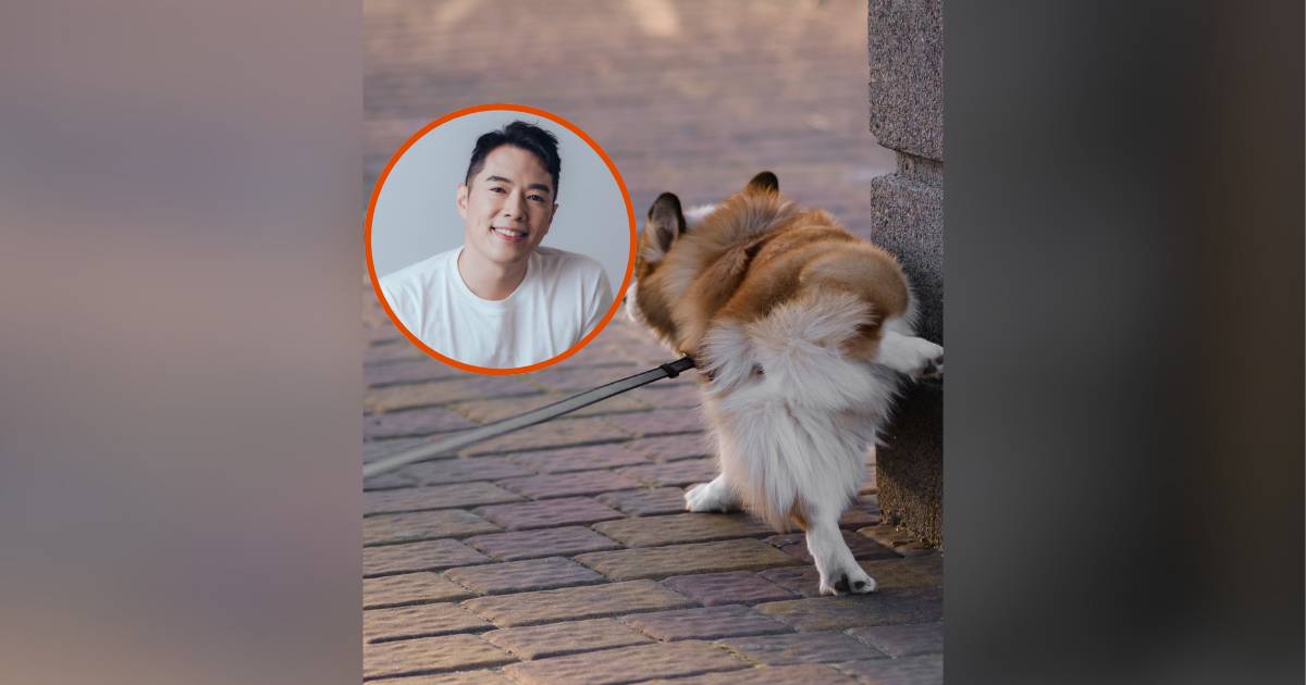 何基佑炮轟狗主1個行為冇公德心 反被網民一面倒圍攻鬧爆：咁你想點？
