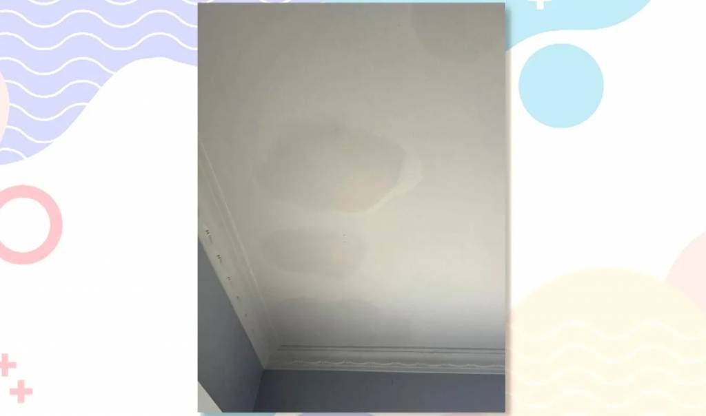 東張西望 對方在訊息中透露,自己透過物業管理處取得陳先生的聯絡資料,並附上了一張天花板漏水的照片,企圖增加訊息的可信度。(圖片來源:YouTube@東張+)