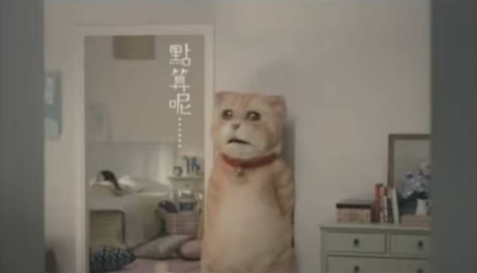 萬寧貓 當時廣告中一個巨型人扮的「萬寧貓」就是以牠為原型。(圖片來源:YouTube@curiositytube)