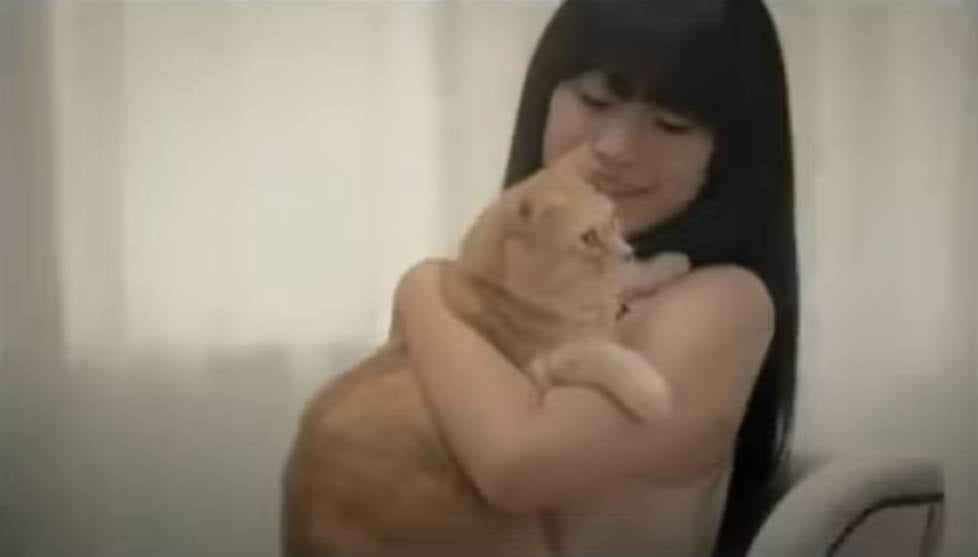 萬寧貓 (圖片來源:YouTube@curiositytube)