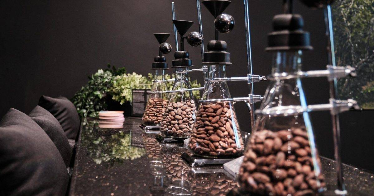 CACAOLAB – 銅鑼灣餐廳 必食70%黑朱古力千層蛋撻