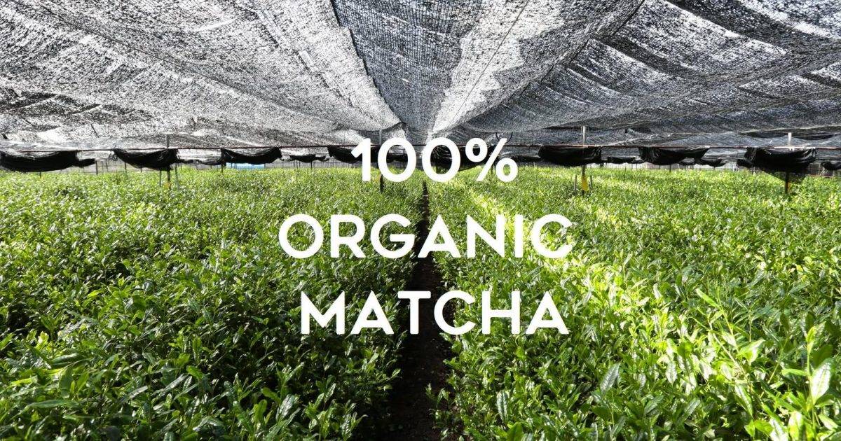 THE MATCHA TOKYO (H Queen’s) – 中環餐廳 滙豐銀行 HSBC信用卡最新飲食優惠  必食抹茶雪糕