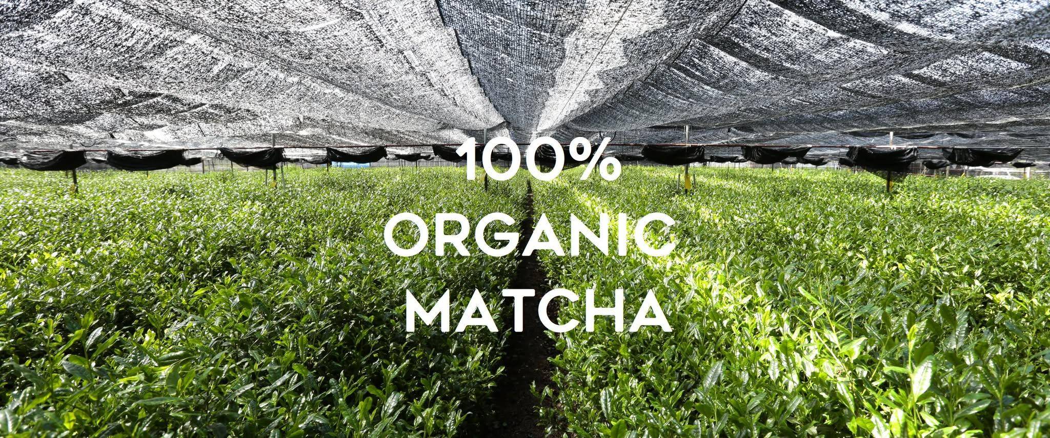 中環美食推介2025|29. THE MATCHA TOKYO (H Queen’s)