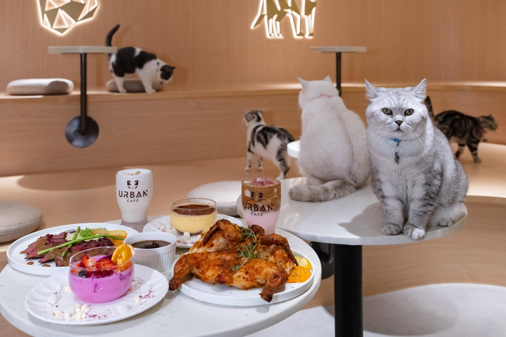 旺角美食推介2025|15. URBAN Cafe (彌敦道)