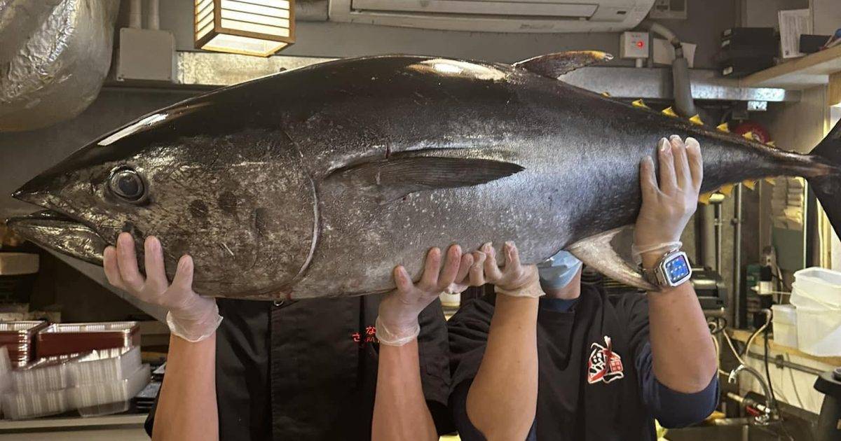 魚一壽司 – 元朗餐廳 必食席前燒A5和牛