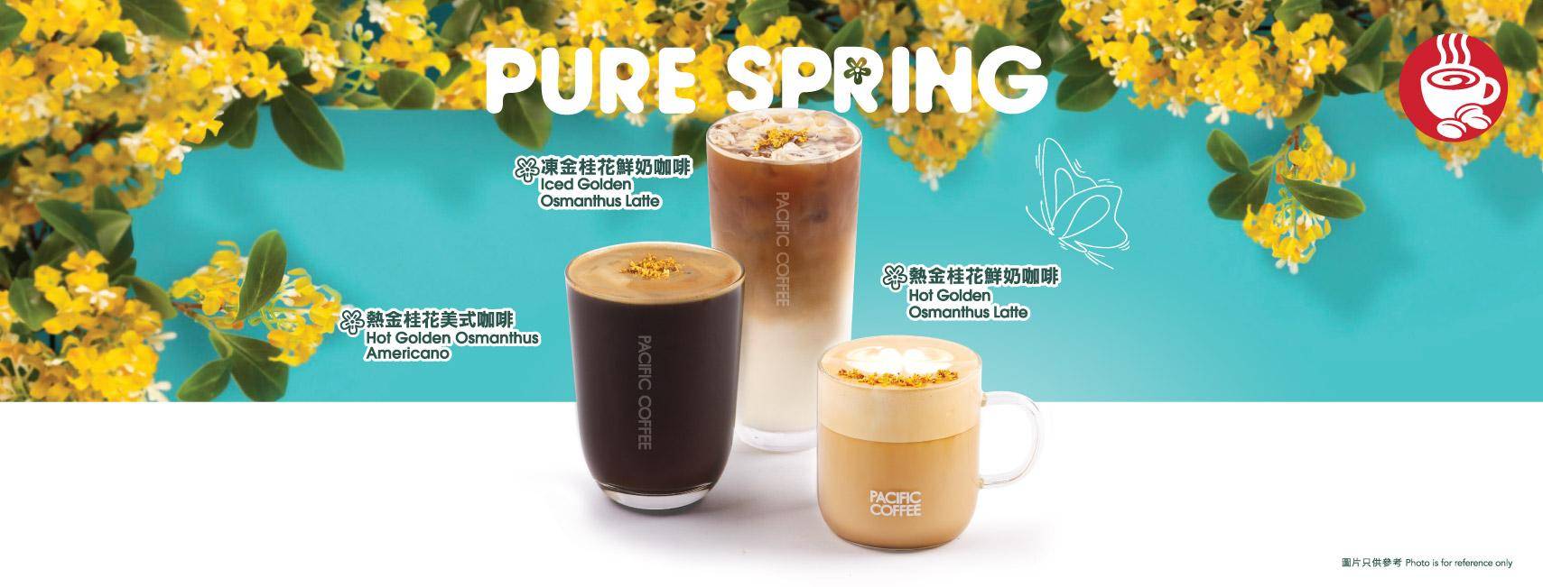 九龍灣Cafe推介2025|11. 太平洋咖啡