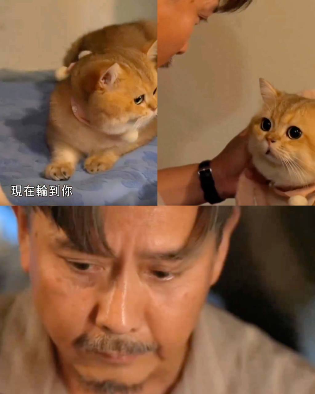 光明大押 畫面充滿洋蔥!(圖片來源:ViuTV)