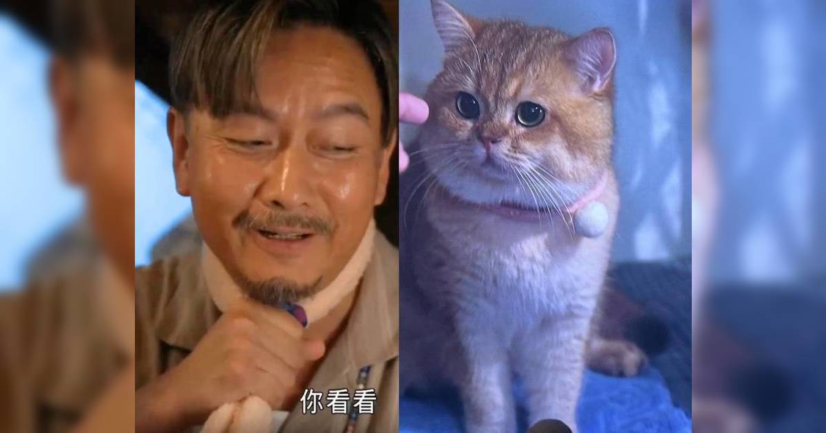 光明大押｜貓店長蝦餃與謝君豪離別場口超催淚 網民感動：最佳演技獎