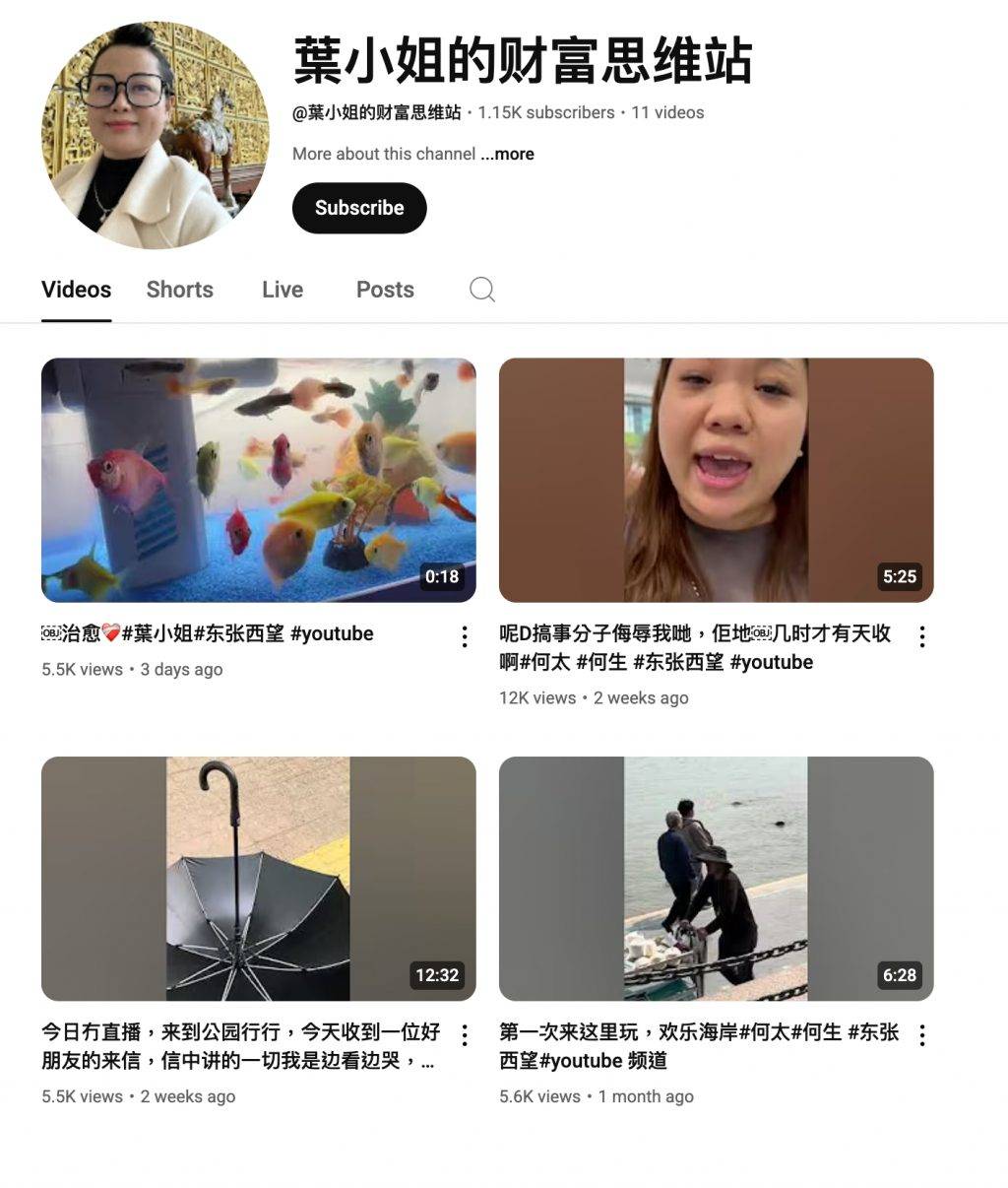 何太 何伯 何太最近上載的一段「魚樂無窮」影片,只加了「葉小姐」和「東張西望」等hashtag。(圖片來源:YouTube@葉小姐的财富思维站)