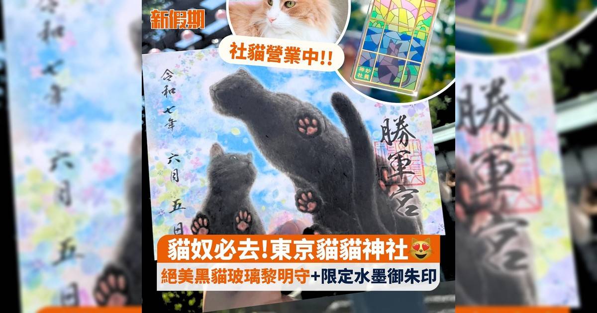 貓奴必去!東京貓貓神社😻 社貓營業中!!絕美黑貓玻璃黎明守+限定水墨御朱印