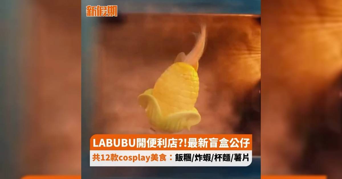 LABUBU開便利店?!最新盲盒公仔 共12款cosplay美食：飯糰/炸蝦/杯麵/薯片