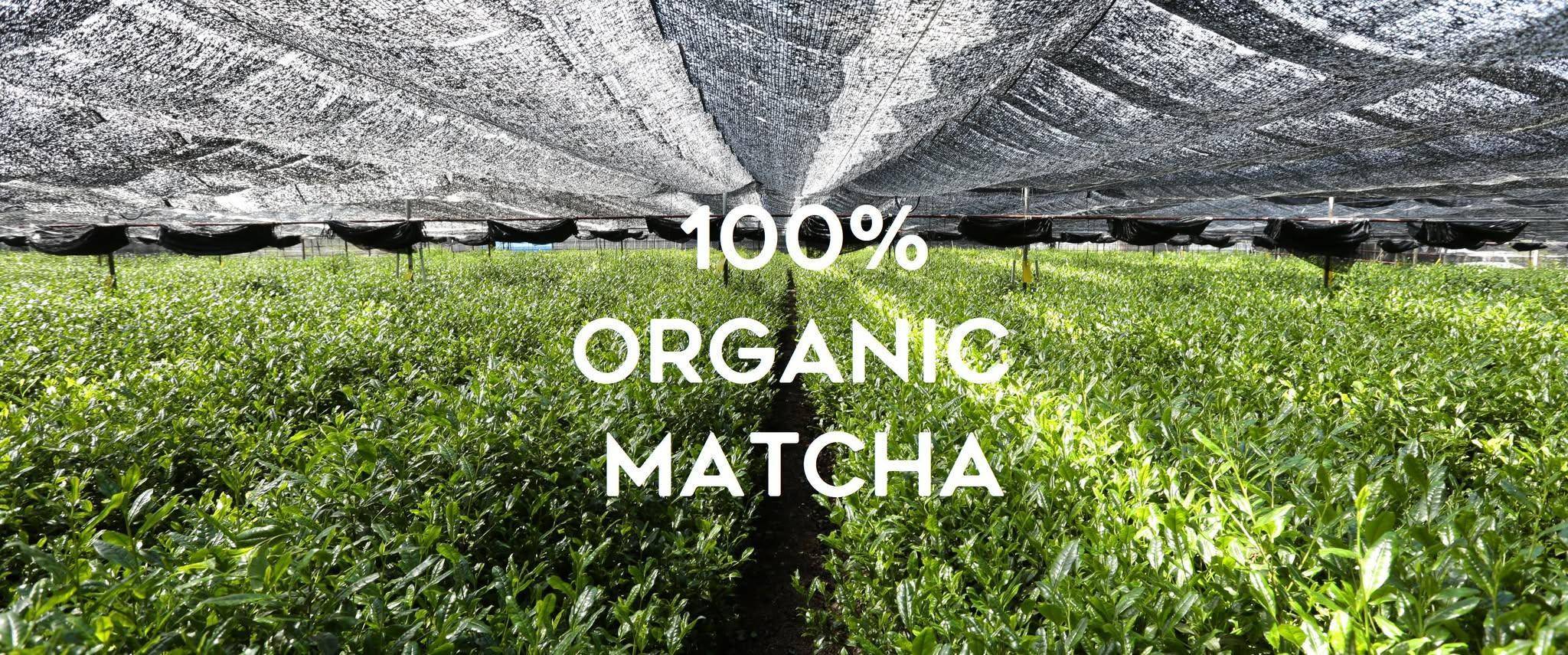 推介|. THE MATCHA TOKYO (勿地臣街)