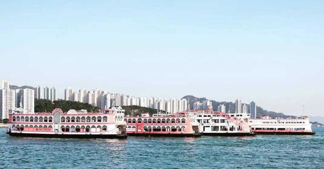 推介|. 洋紫荊維港遊