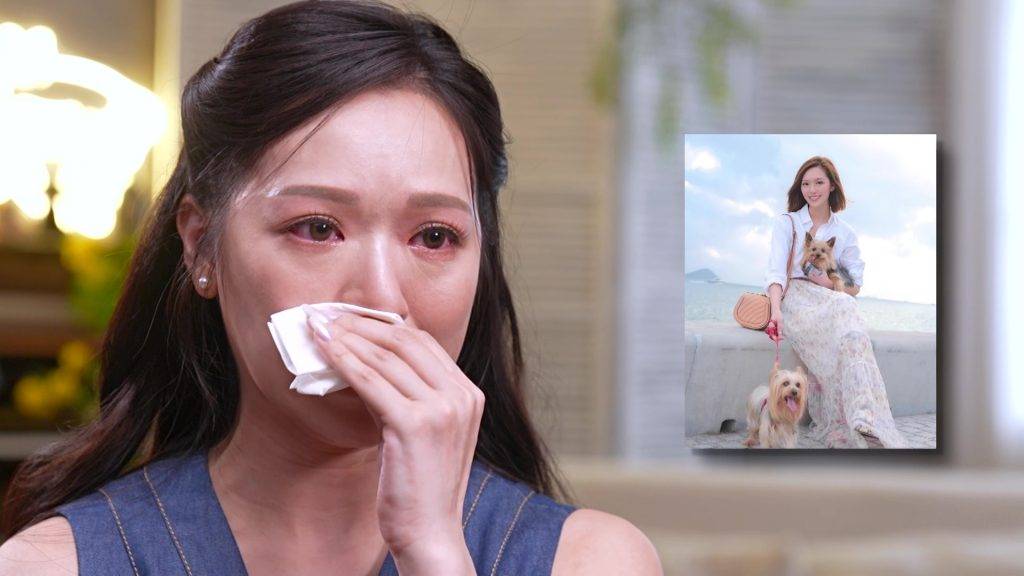 馮盈盈 寵你一世 她回憶起波子曾有一位家姐,但家姐早前離世,當時才發現從未為牠影過正式寫真,心中一直帶着遺憾。(圖片來源:TVB)