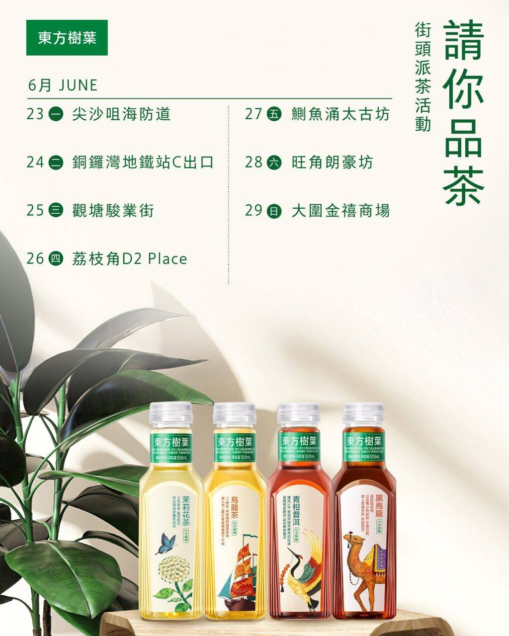 東方樹葉 (圖片來源:官方圖片)
