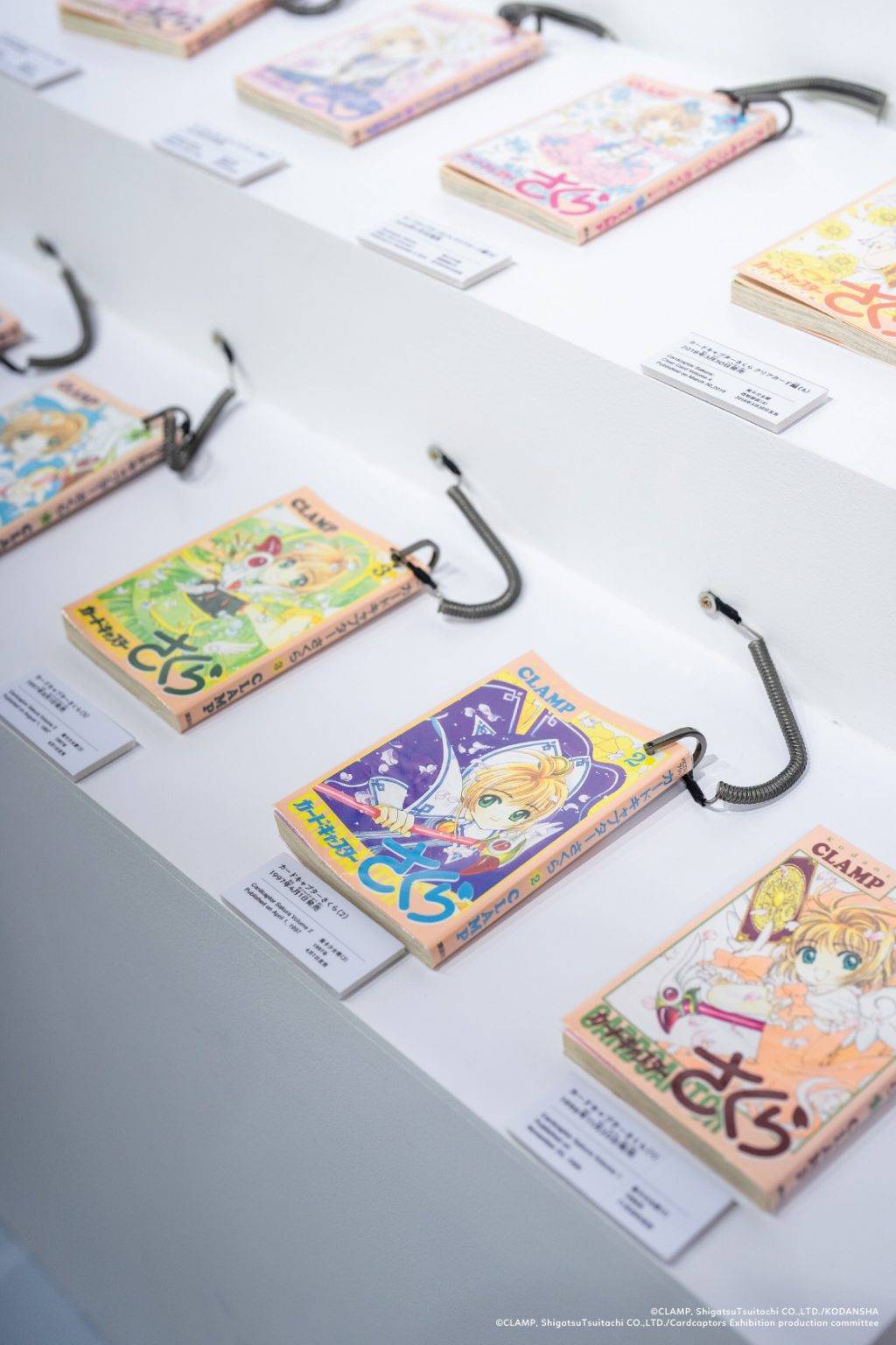 百變小櫻展 早鳥優惠 (圖片來源:官方圖片)