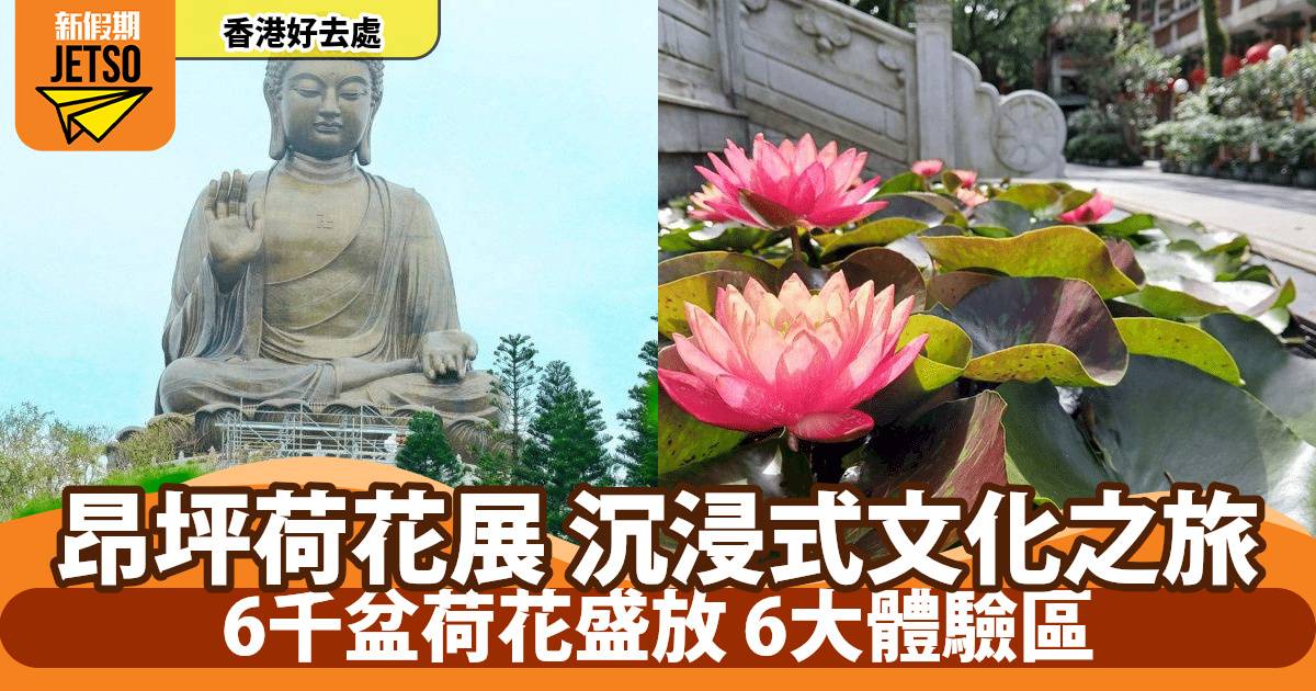昂坪荷花展2025｜6千盆荷花盛放！沉浸式6大體驗區＋集章換禮品？即睇日期地點