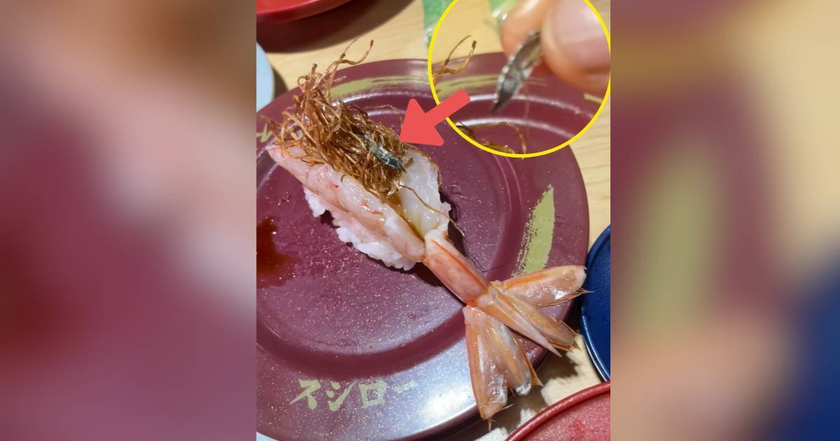 壽司郎香蔥赤蝦驚見尖形鐵片　店員處理手法被轟：越做越差！