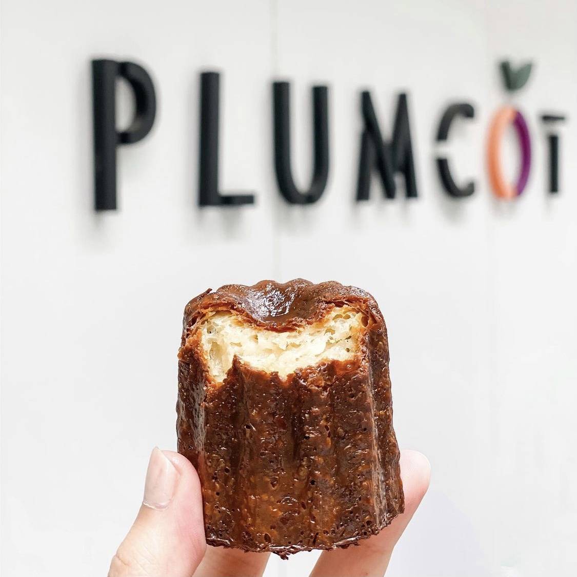 推介|. PLUMCOT
