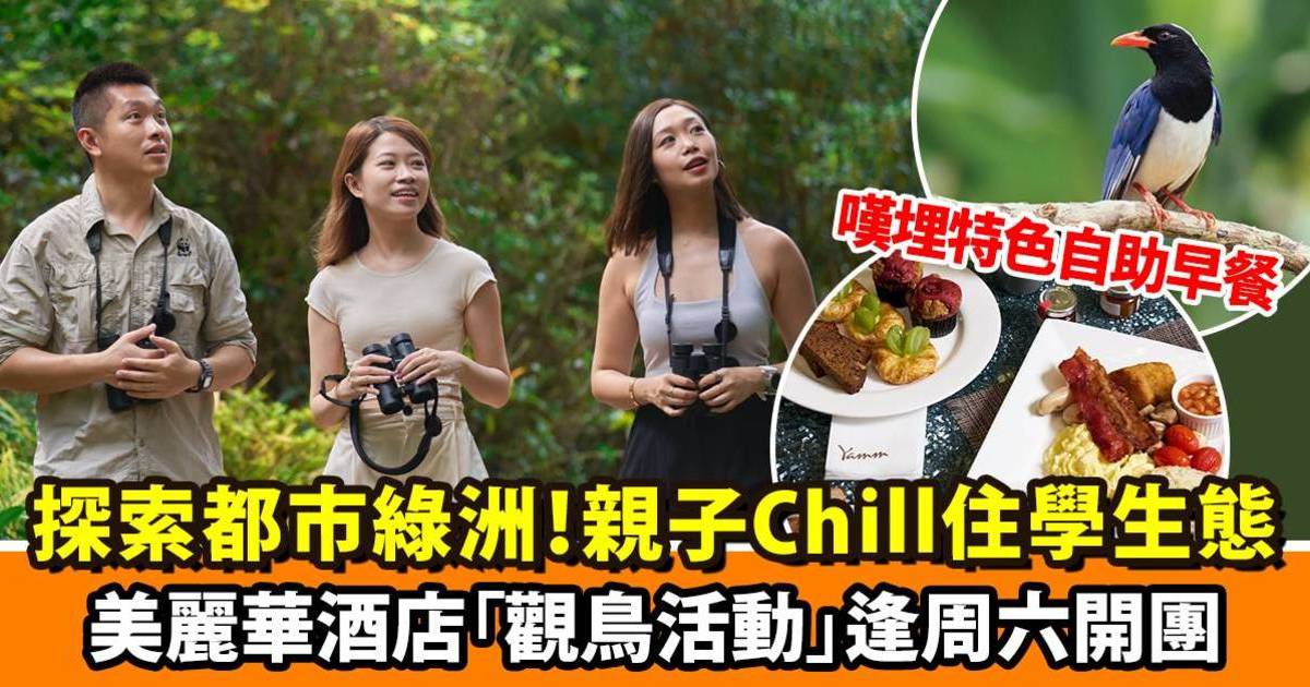 探索都市綠洲，親子Chill住學生態！美麗華酒店「觀鳥活動」逢周六開團