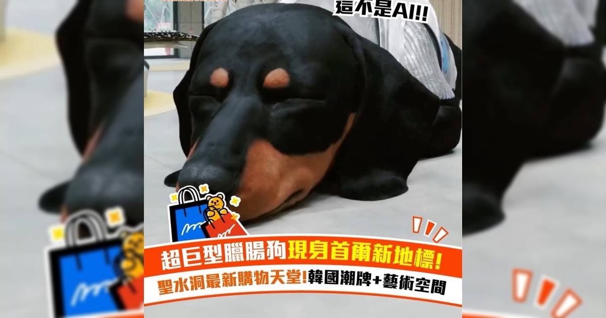 超巨型臘腸狗現身首爾新地標! 聖水洞最新購物天堂!韓國潮牌+藝術空間