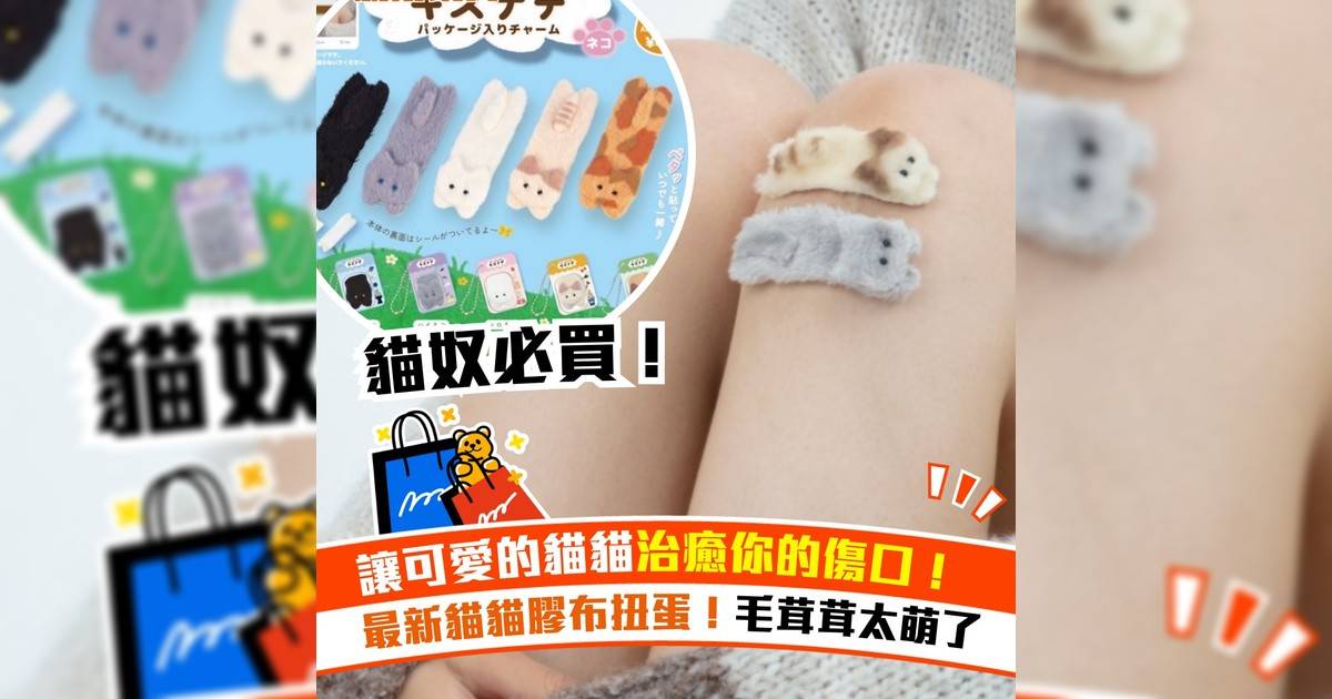 讓可愛貓貓治癒你傷口！最新貓貓膠布扭蛋！毛茸茸太萌