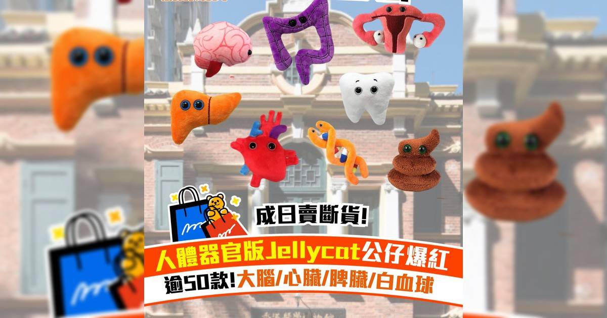 香港醫學博物館器官公仔爆紅！逾50款：大腦/心臟/脾臟/白血球