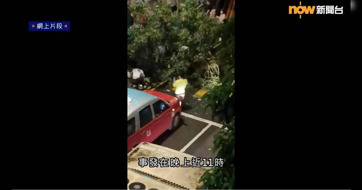 港鐵站出口大樹突倒塌 4途人慘被壓中 25歲女傷勢最重 事發經過曝光